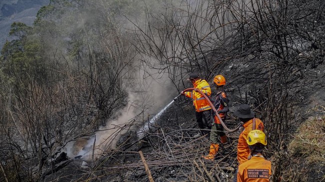 Karhutla di Pegunungan Jatim Belum Sepenuhnya Padam, Lebih dari 1.500 Hektare Lahan Terbakar